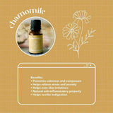 Chamomile essential oil bottle and its benefits