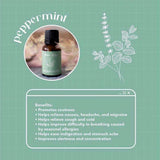 Peppermint essential oil bottle and its benefits